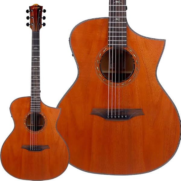 Amazon.co.jp: Bromo Guitars ブロモギターズ BAR5CE エレクトリック
